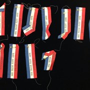 Cover image of Fraternal Ribbon
